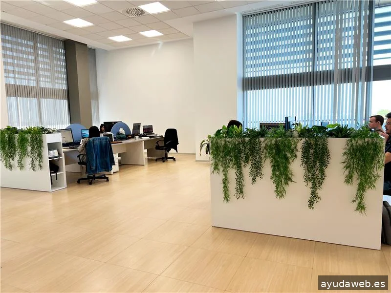 Difuso | Agencia SEO Valencia