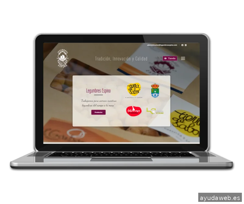 Digitaliza Tu Negocio® – Agencia de Marketing Digital y Diseño Web