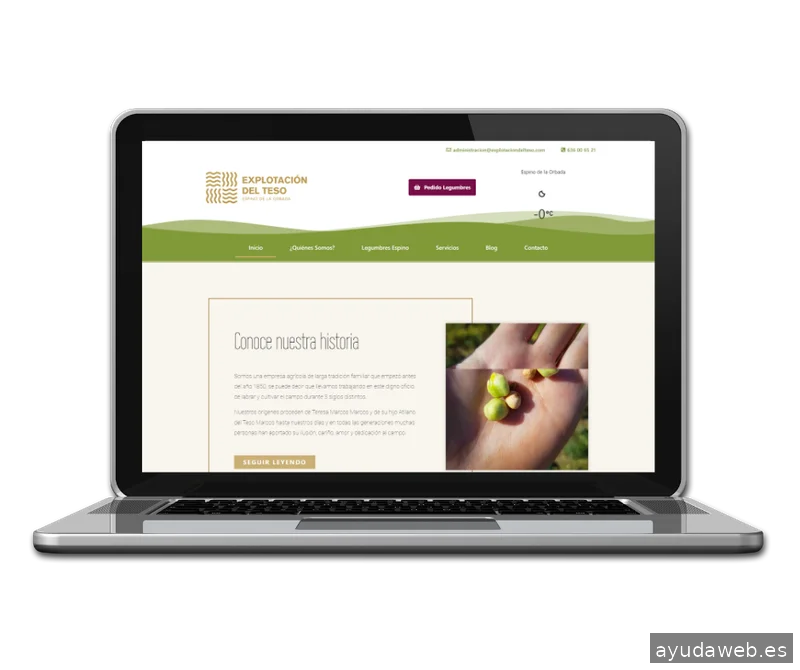 Digitaliza Tu Negocio® – Agencia de Marketing Digital y Diseño Web