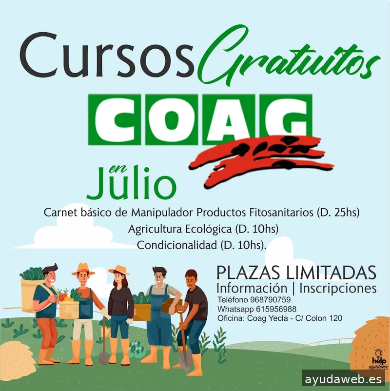 Creativos Help Ayúdame