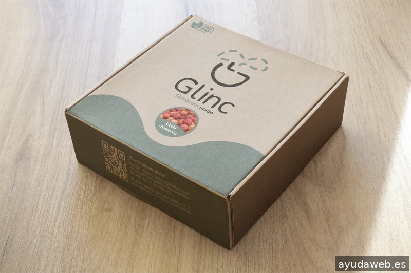 Momento Visual | Branding y diseño gráfico