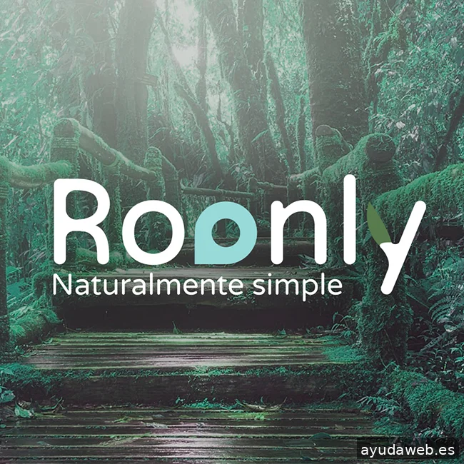 Momento Visual | Branding y diseño gráfico