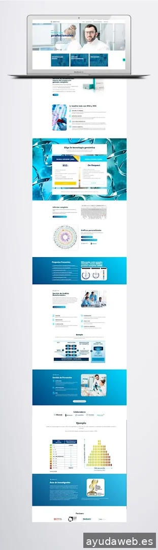 ASH - Agencia de Branding, Packaging & Web