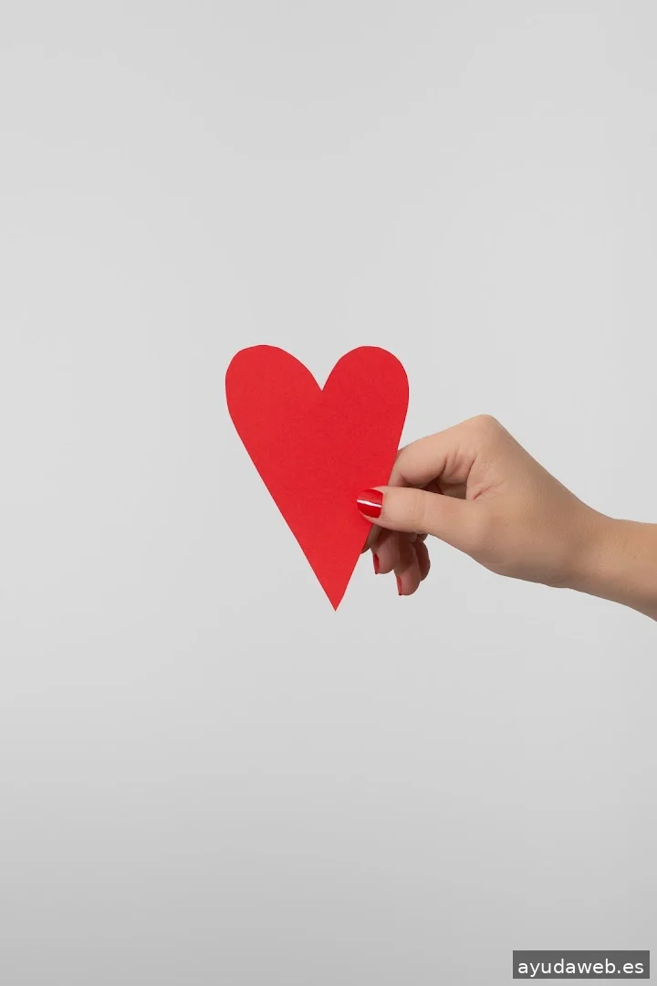 LA SUIZA — Estudio de branding y diseño