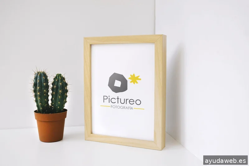 LA SUIZA — Estudio de branding y diseño