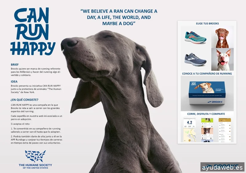 LA SUIZA — Estudio de branding y diseño