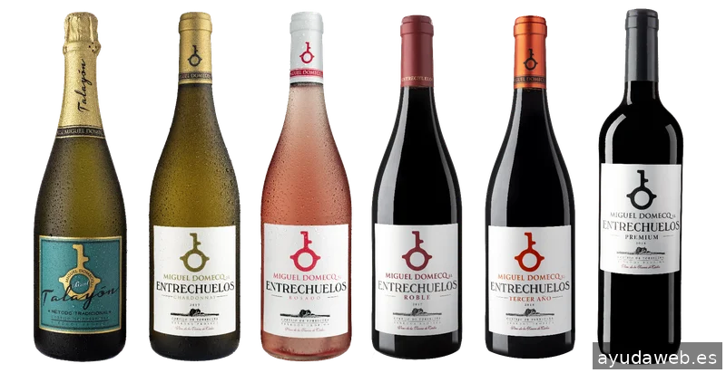 SASTRERIA DEL PRODUCTO Branding & Packaging
