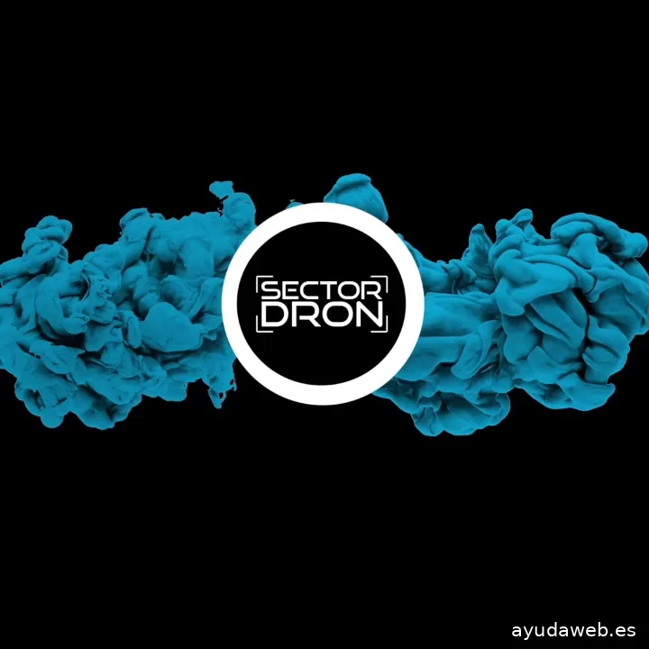 Sector Dron
