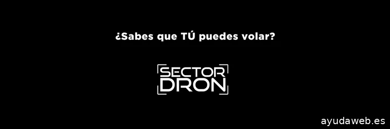 Sector Dron
