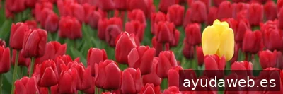 Amaseme Branding. Agencia de marketing digital