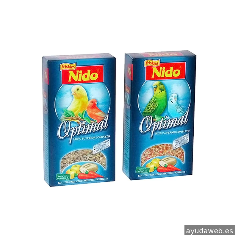 Lapizazul - Diseño Gráfico y Diseño Web Barcelona I KIT DIGITAL