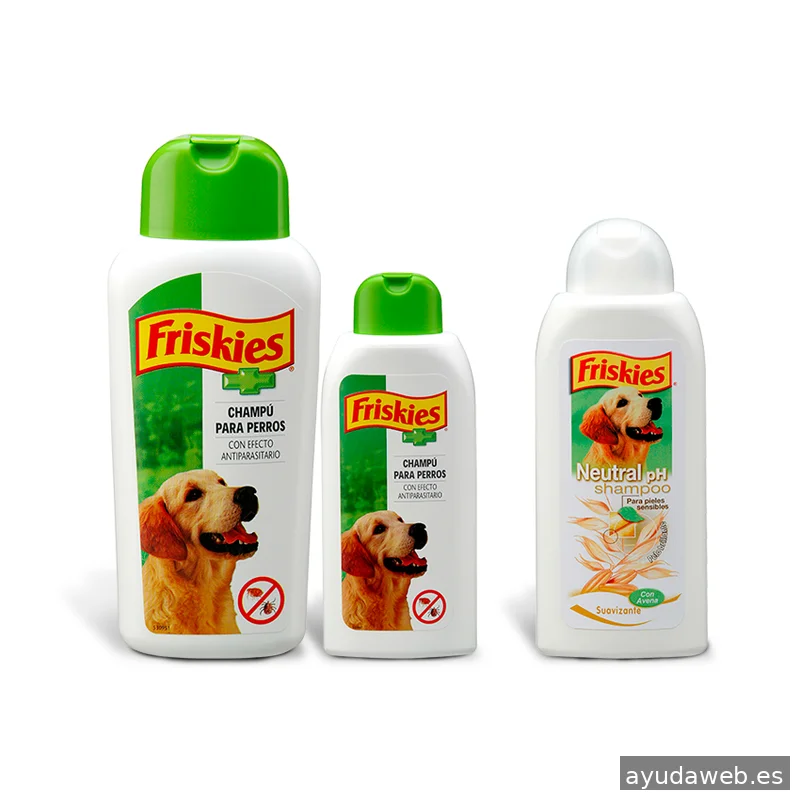 Lapizazul - Diseño Gráfico y Diseño Web Barcelona I KIT DIGITAL