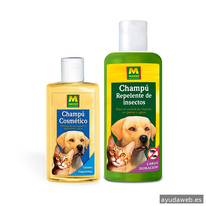 Lapizazul - Diseño Gráfico y Diseño Web Barcelona I KIT DIGITAL