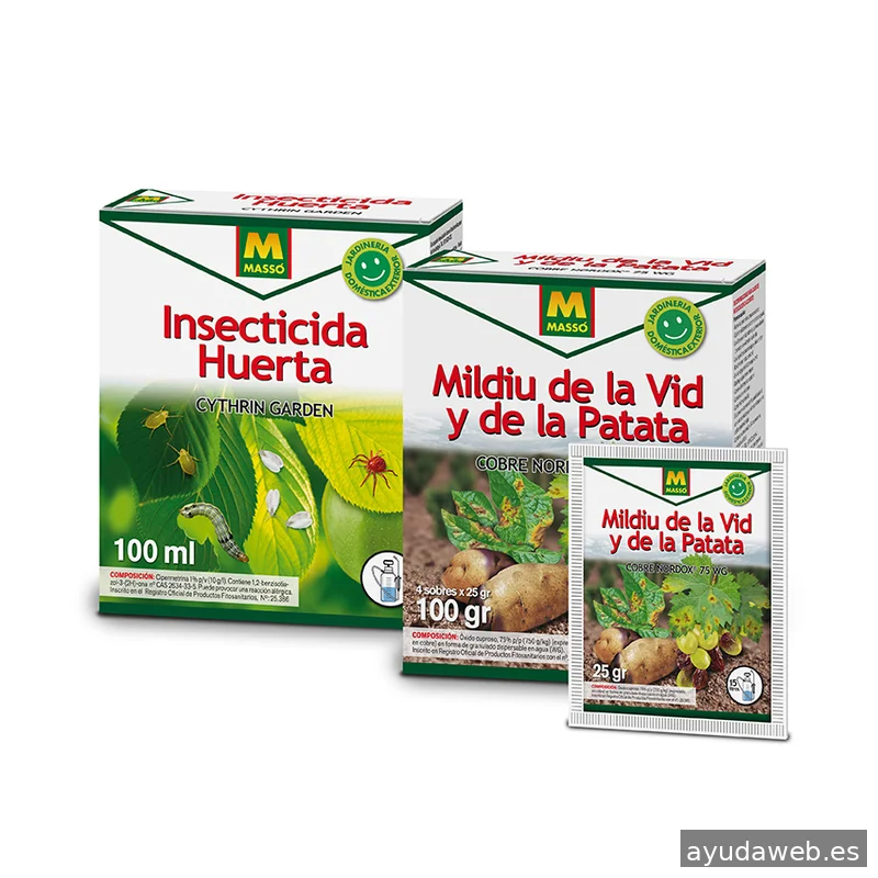 Lapizazul - Diseño Gráfico y Diseño Web Barcelona I KIT DIGITAL