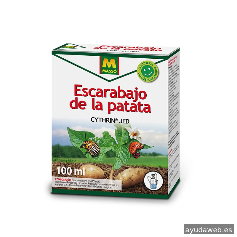 Lapizazul - Diseño Gráfico y Diseño Web Barcelona I KIT DIGITAL