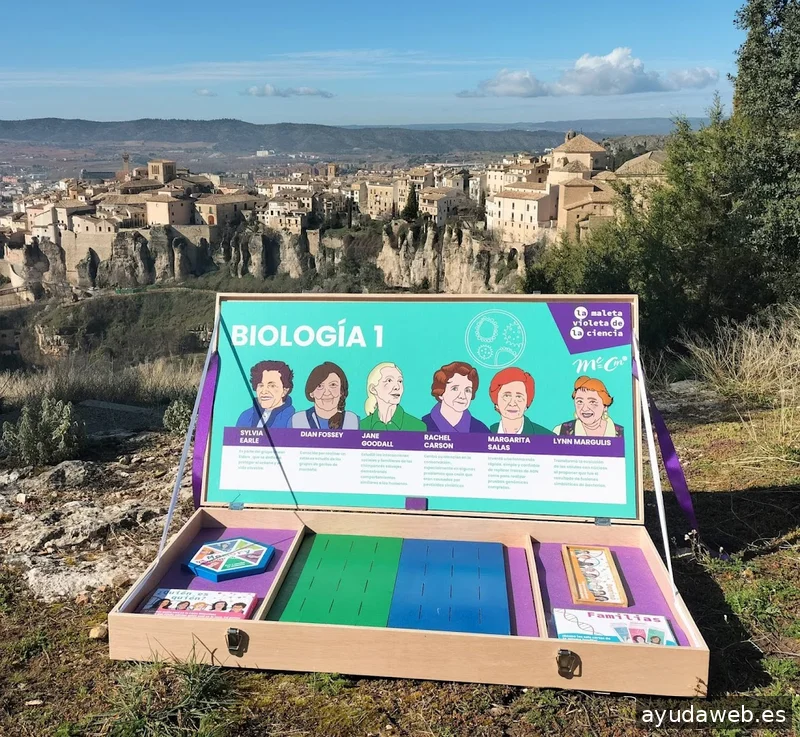 Arte_facto | Diseño estratégico