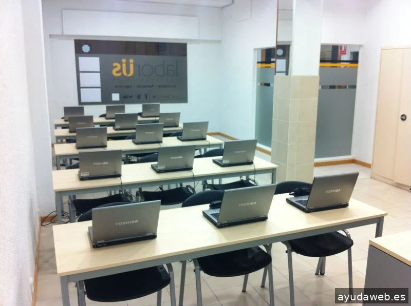 Laborus Work Consulting