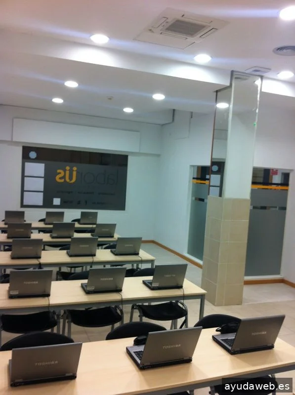 Laborus Work Consulting