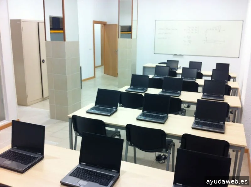 Laborus Work Consulting