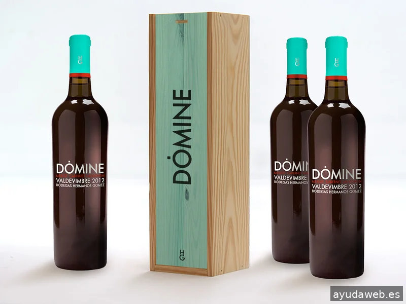 NEXOI Branding & Design