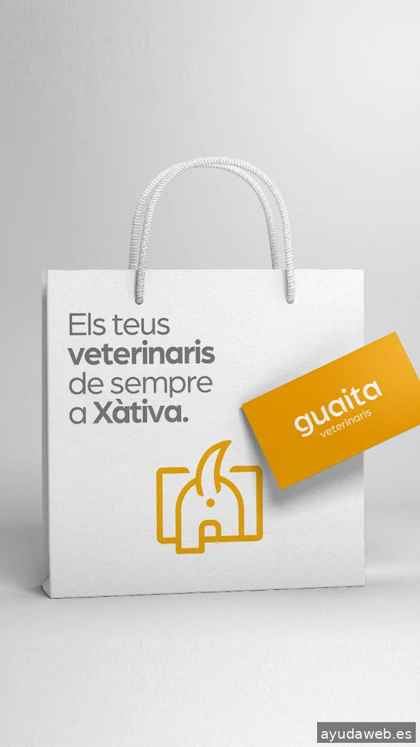 Javier Ballester Diseño Gráfico Páginas Web Redes Sociales