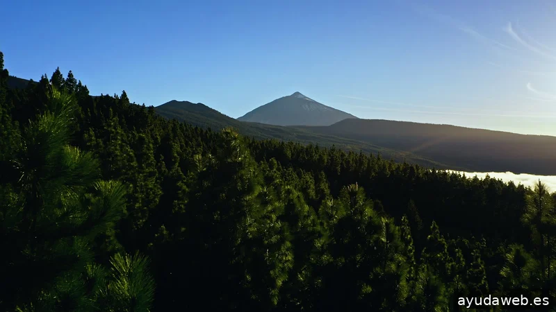 CanaryFilmPro - Tenerife