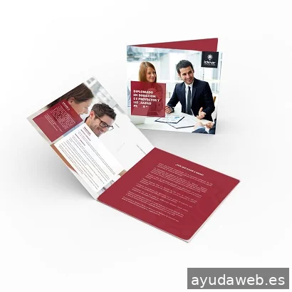 Soporte Website - Diseño y desarrollo Web - Marketing Digital