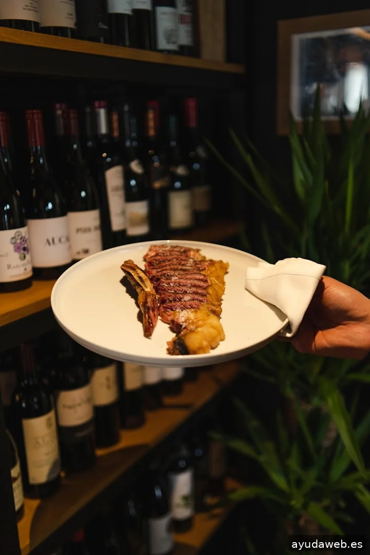 White Dragon | Creative Studio