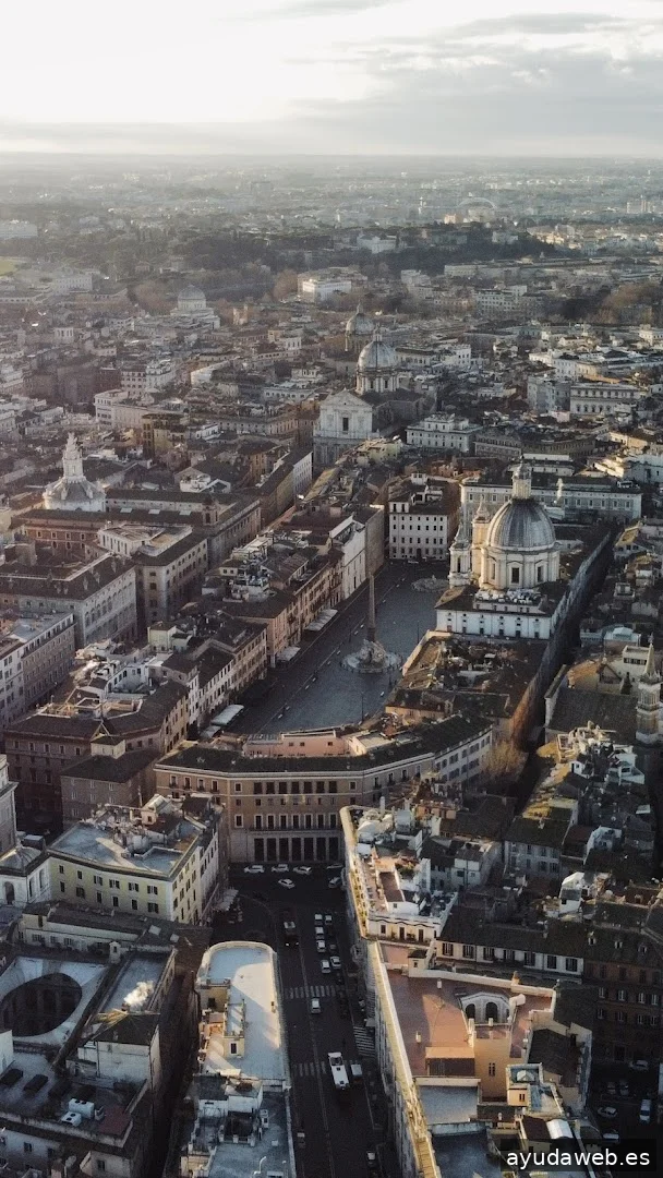 White Dragon | Creative Studio