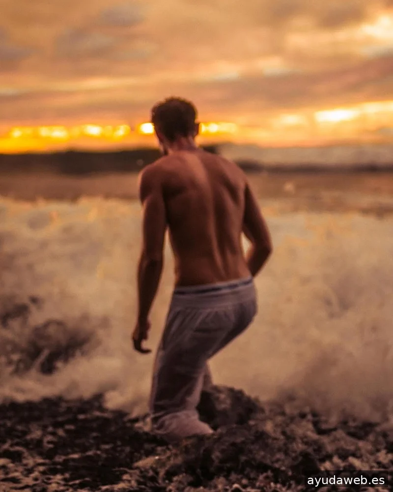 White Dragon | Creative Studio