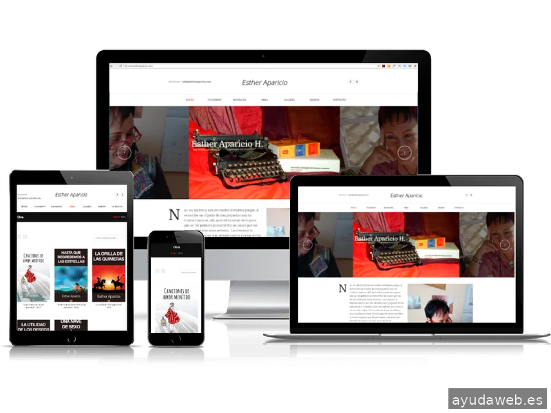 DCMWEB ® Diseño web Caceres - Expertos en Wordpress