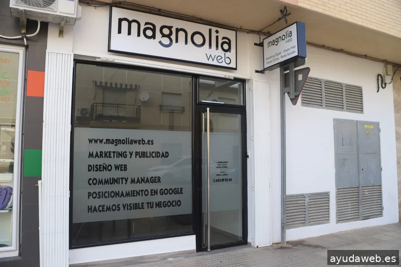 Magnolia Agencia de Marketing