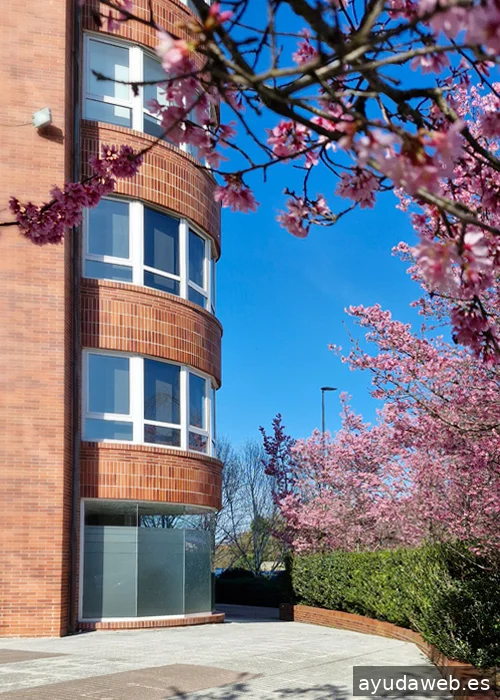 Seriffa. Estudio gráfico y digital