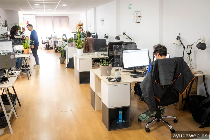 Agencia SEO y SEM 🚀 Kenji Marketing