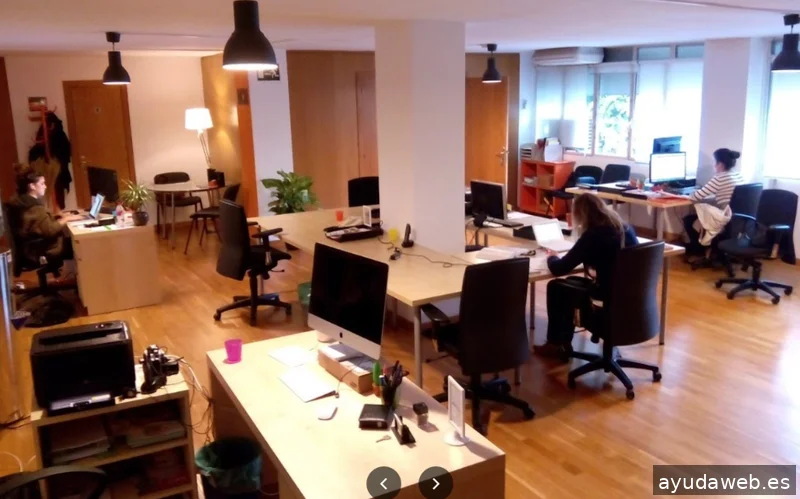 Marketing consulting Mallorca S.l.