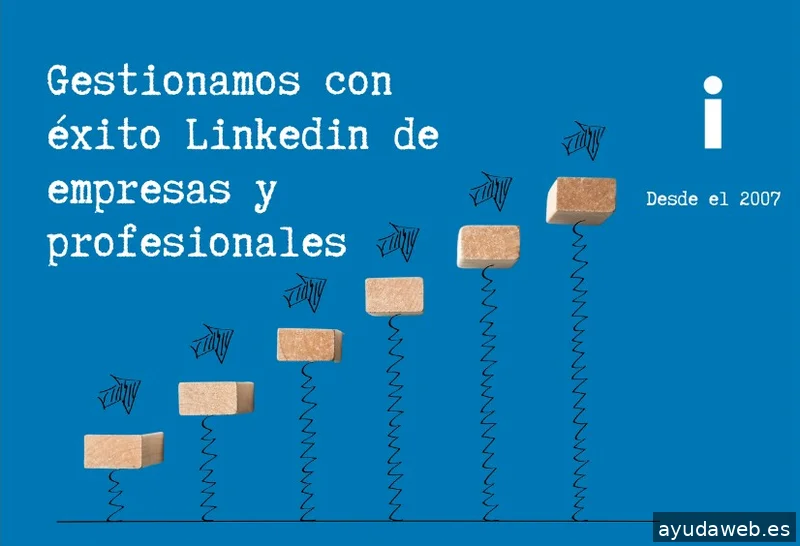 Marketing consulting Mallorca S.l.