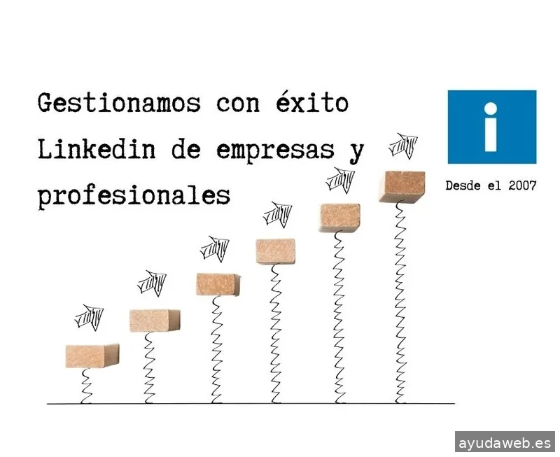 Marketing consulting Mallorca S.l.