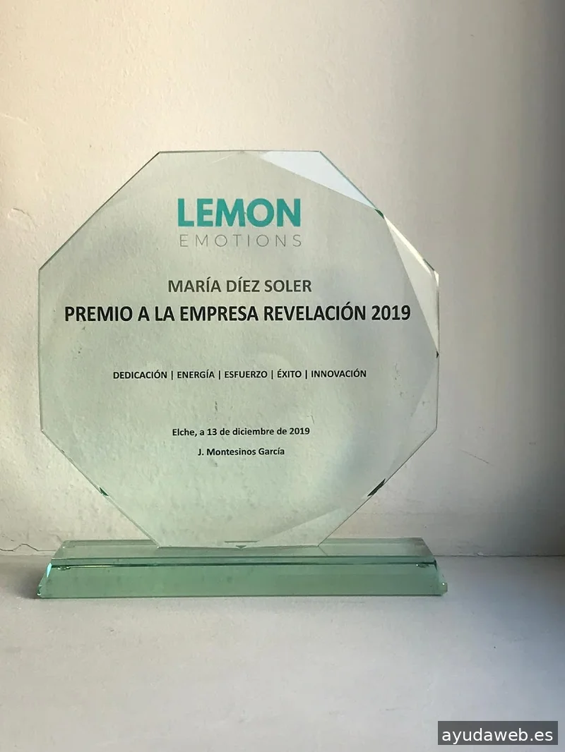 Lemon Agencia Digital