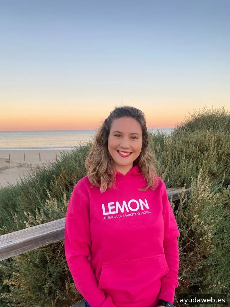 Lemon Agencia Digital