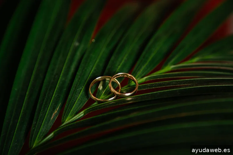MARA PHOTOGRAPHY