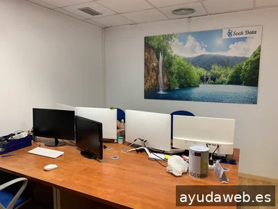 Agencia SEO Zaragoza | Sock Data