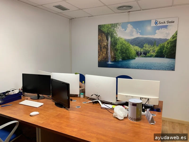 Agencia SEO Zaragoza | Sock Data