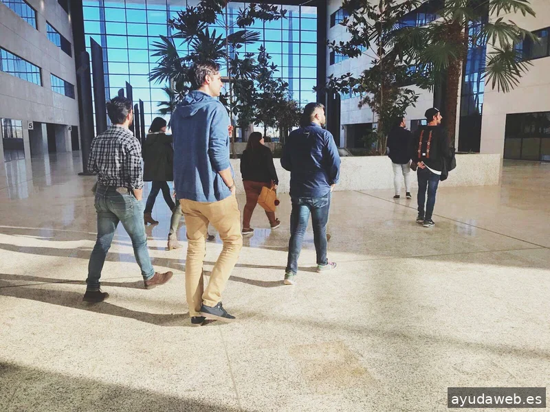 Agencia SEO Zaragoza | Sock Data