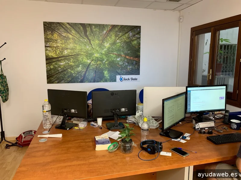 Agencia SEO Zaragoza | Sock Data