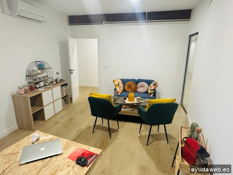 The Singular Concept