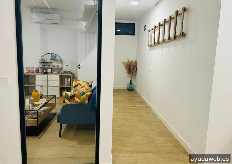 The Singular Concept