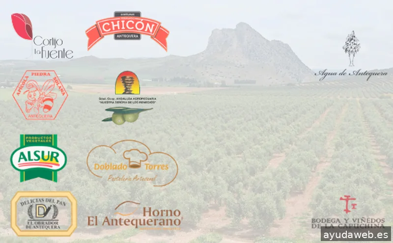 Digital Conecta, S.L.