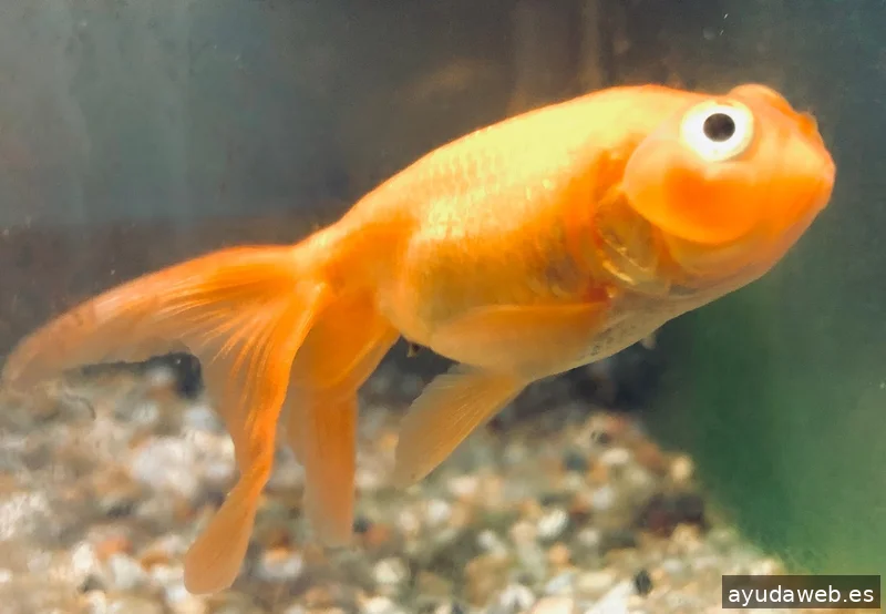 Agencia Marketing Brand&market Studio