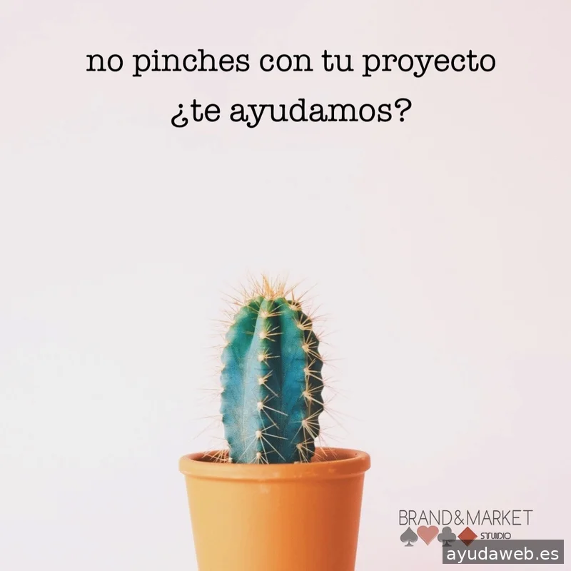 Agencia Marketing Brand&market Studio