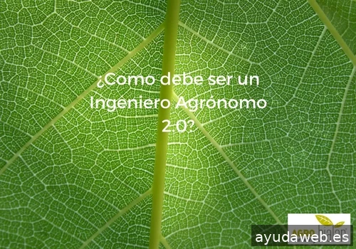 Agromarketing. Consultoria en Agromarketing Digital. Marketing Agropecuario